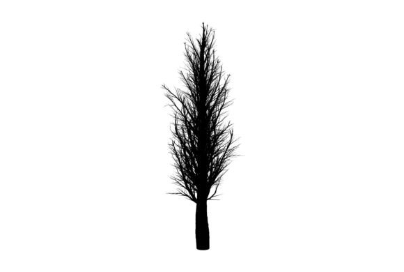 Discover the Beauty of Nature Tree Drawing