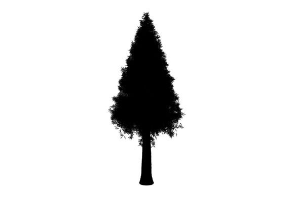 Discover the Beauty of Nature Tree Shape for Creative Projects