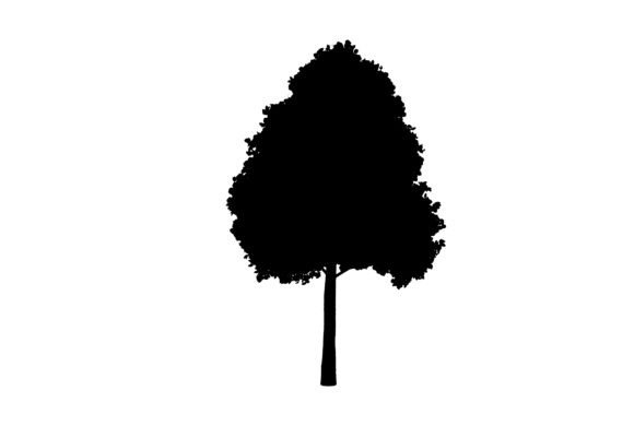 Eco Tree Silhouette: A Botanical Design for Every Creative Need