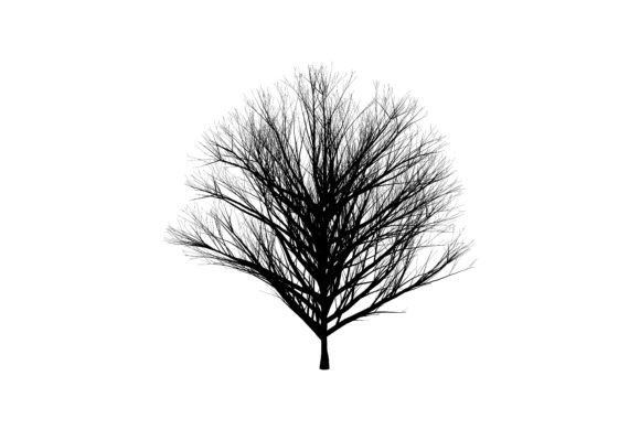 Isolated Tree Clipart: A Versatile Design Element for Modern Creators