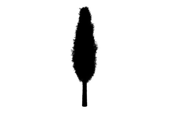 Organic Tree Art: A Versatile Design Element for Creative and Practical Use