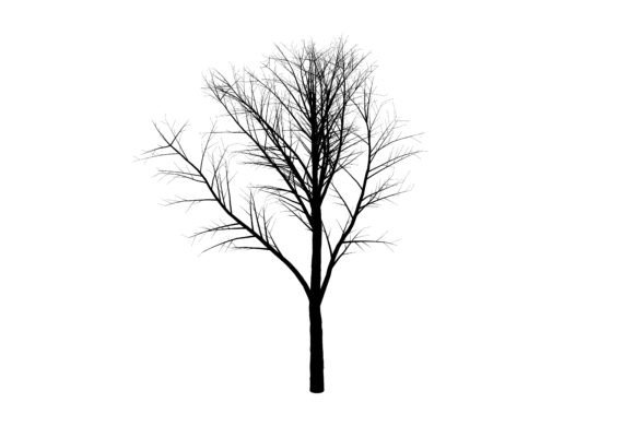 Tree Graphic Element: A Versatile Tool for Modern Design